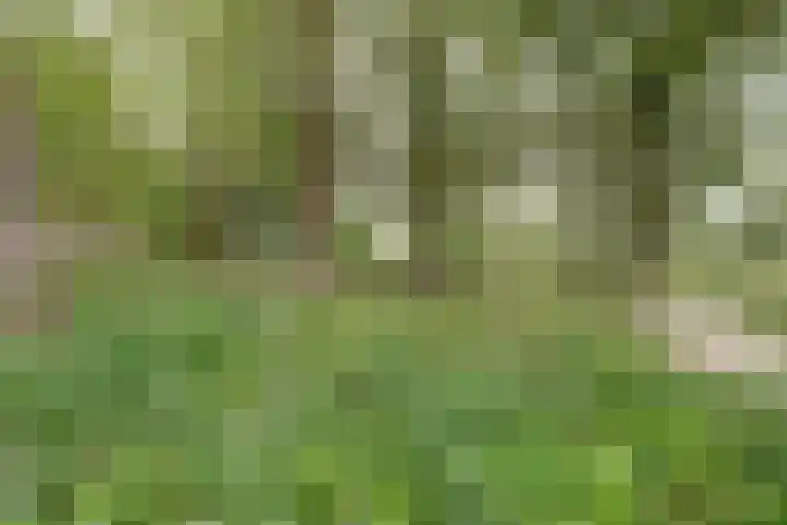 Winselingseweg 2 R Nijmegen thumbnail 41