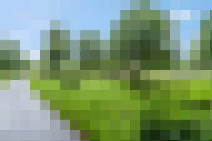 Winselingseweg 2 R Nijmegen thumbnail 6