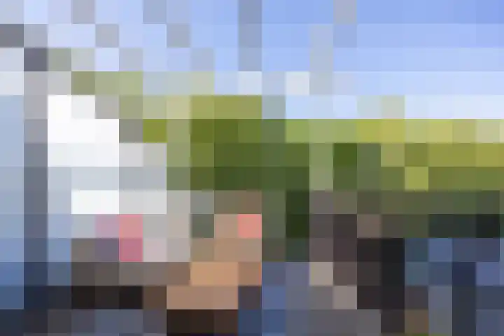 Winselingseweg 2 R Nijmegen thumbnail 7