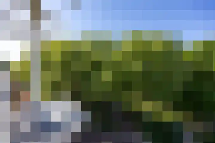 Winselingseweg 2 R Nijmegen thumbnail 8