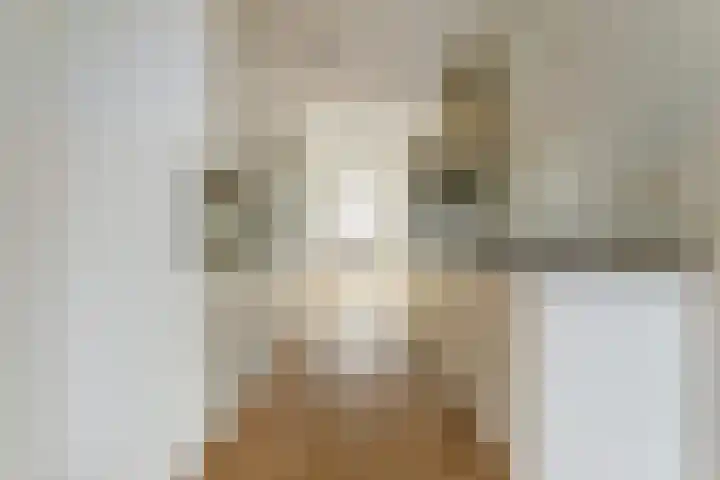 Winselingseweg 2 R Nijmegen thumbnail 9