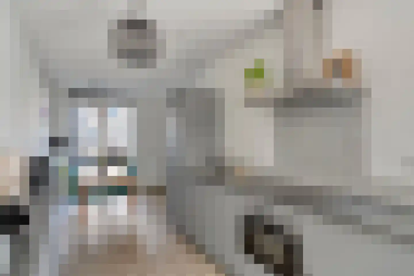 Winselingseweg 2 S Nijmegen thumbnail 4