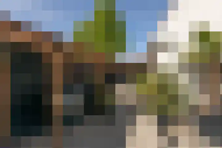 Winsemiusstraat 14 Sneek thumbnail 33