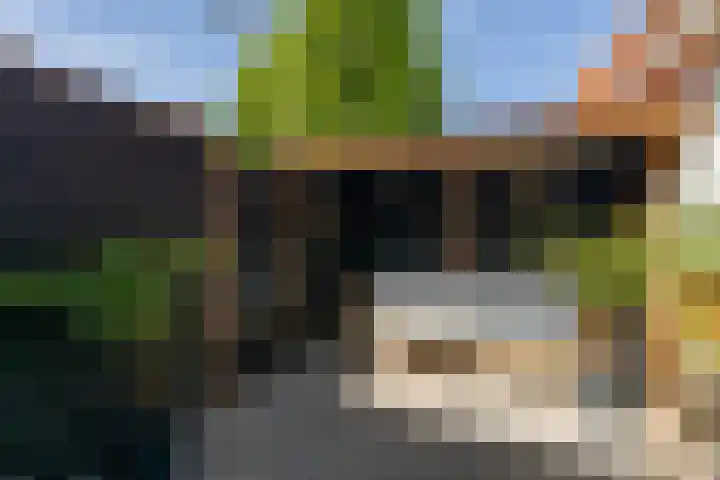Winsemiusstraat 14 Sneek thumbnail 34