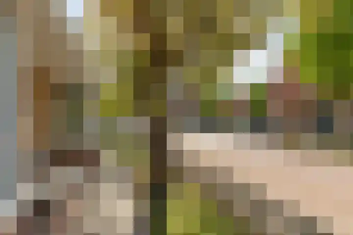 Winsemiusstraat 14 Sneek thumbnail 36