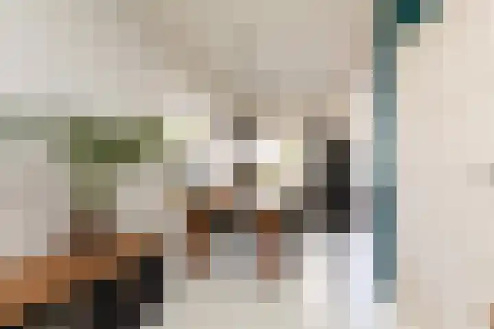 Winsemiusstraat 14 Sneek thumbnail 8
