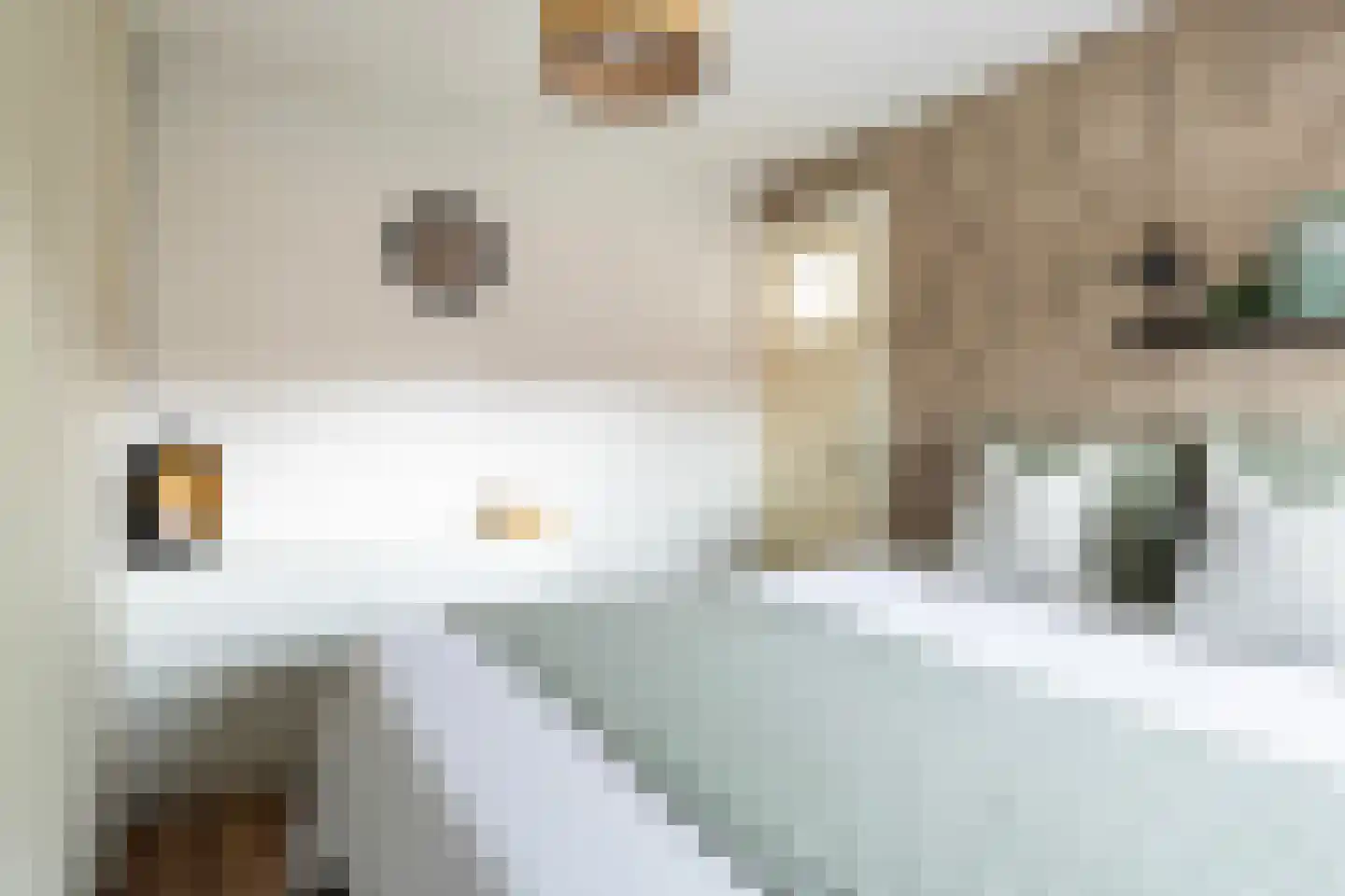 Winsemiusstraat 20 Sneek thumbnail 30
