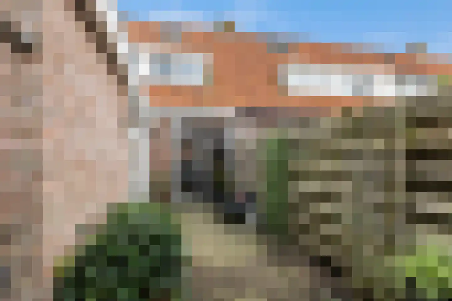 Winsemiusstraat 20 Sneek thumbnail 39