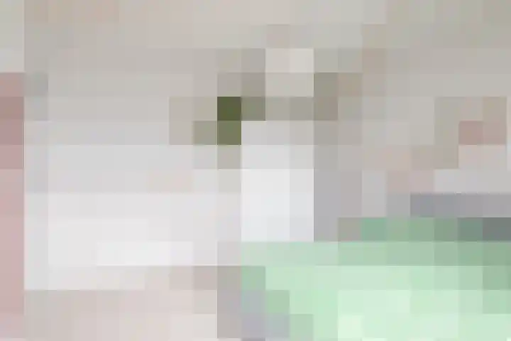 Winsemiusstraat 22 Sneek thumbnail 23