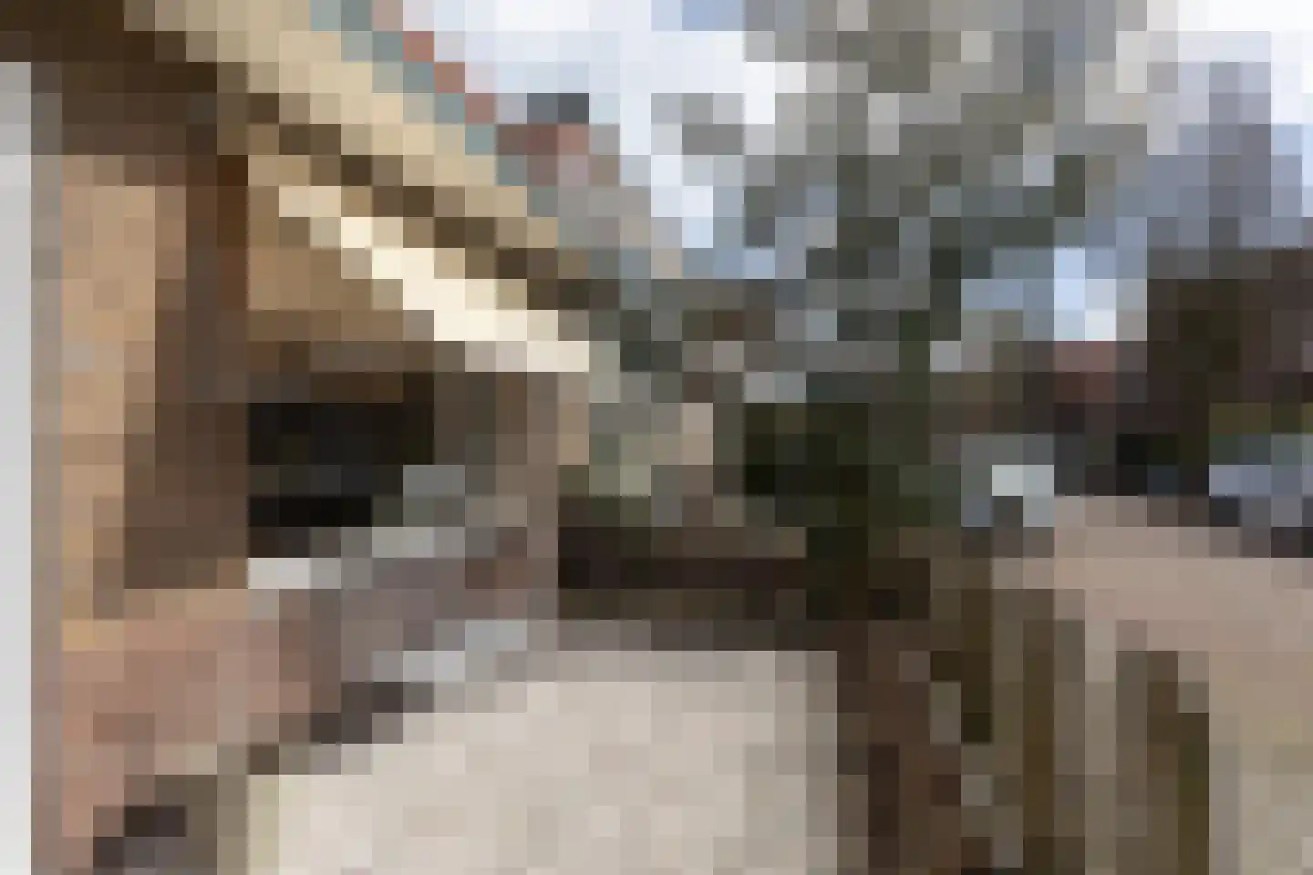 Winsemiusstraat 22 Sneek thumbnail 37