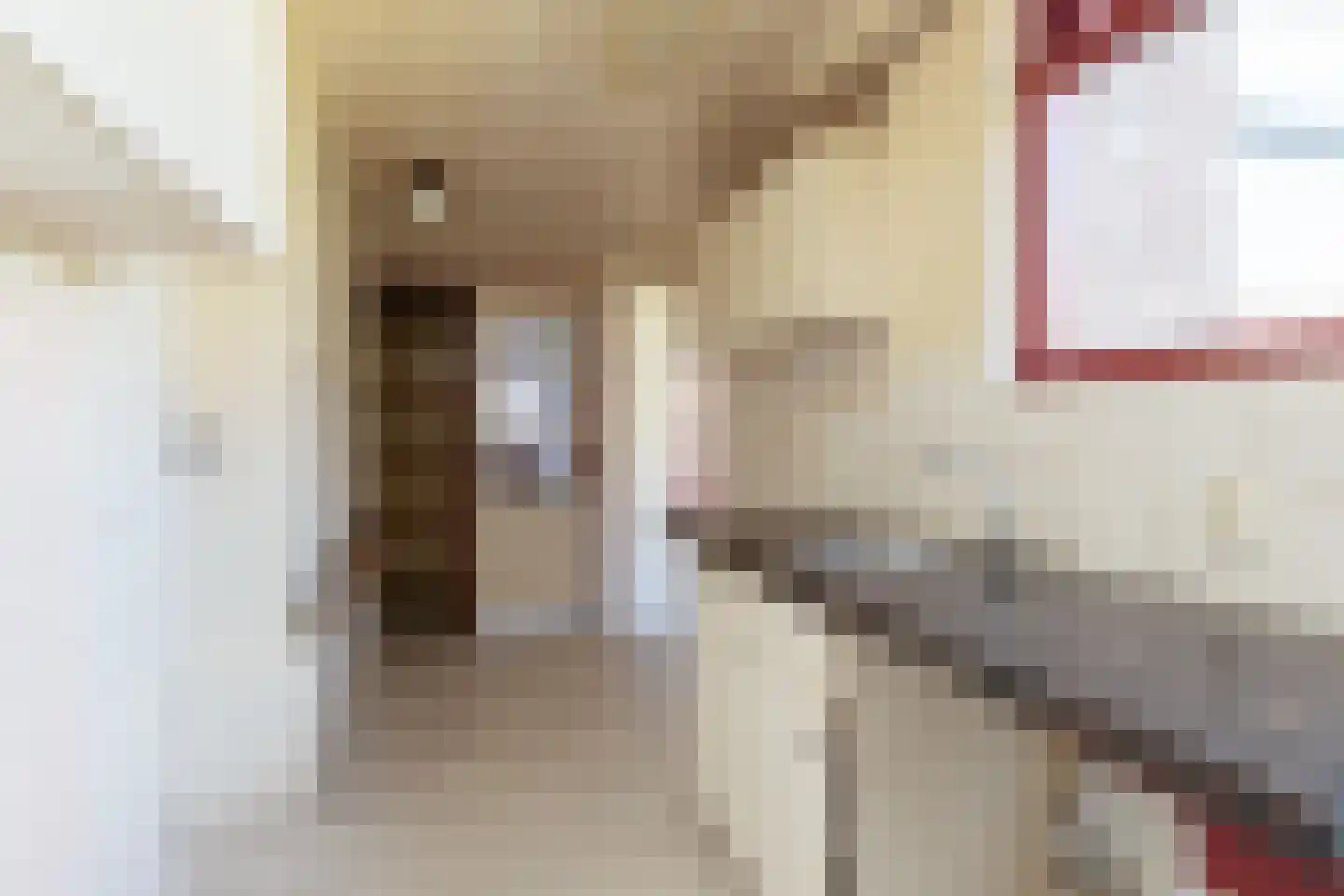 Winsemiusstraat 24 Sneek thumbnail 8