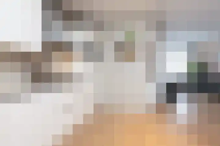 Winsemiusstraat 5 Sneek thumbnail 11