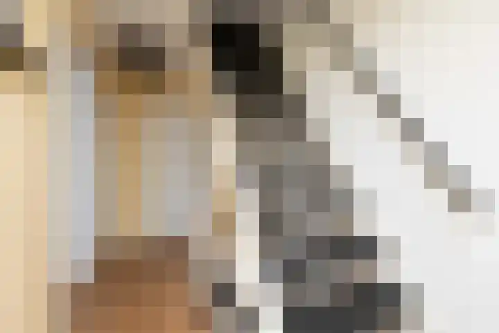 Winsemiusstraat 5 Sneek thumbnail 23