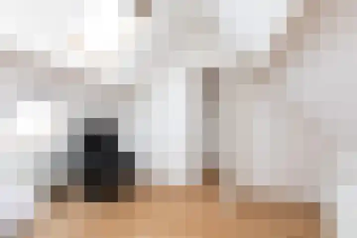 Winsemiusstraat 5 Sneek thumbnail 24