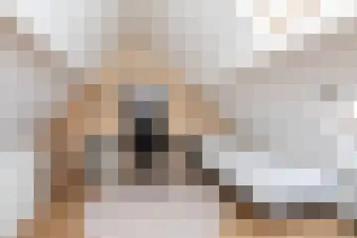 Winsemiusstraat 5 Sneek thumbnail 25