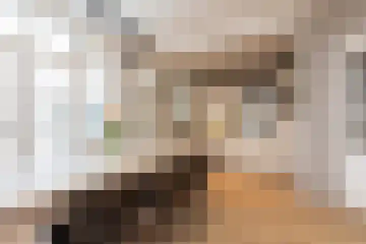 Winsemiusstraat 5 Sneek thumbnail 9