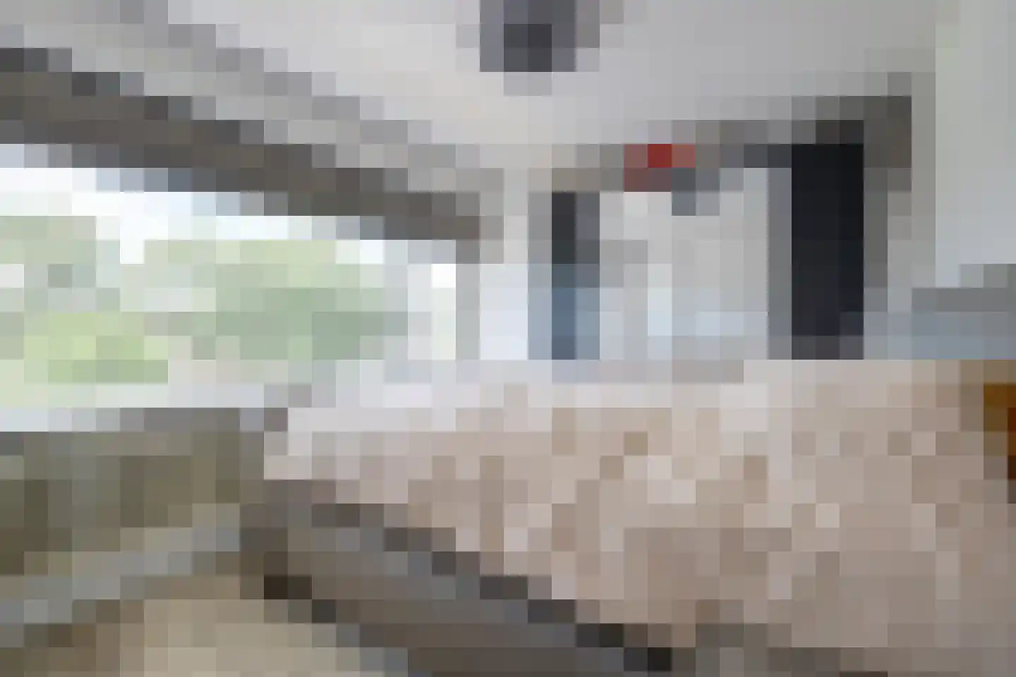 Winston Churchilllaan 16 Spijkenisse thumbnail 17