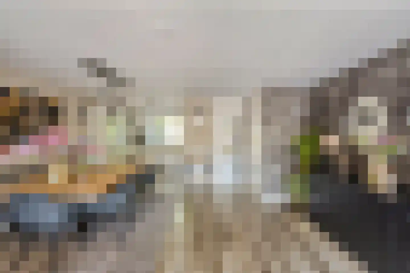 Winston Churchilllaan 17 Eindhoven thumbnail 19