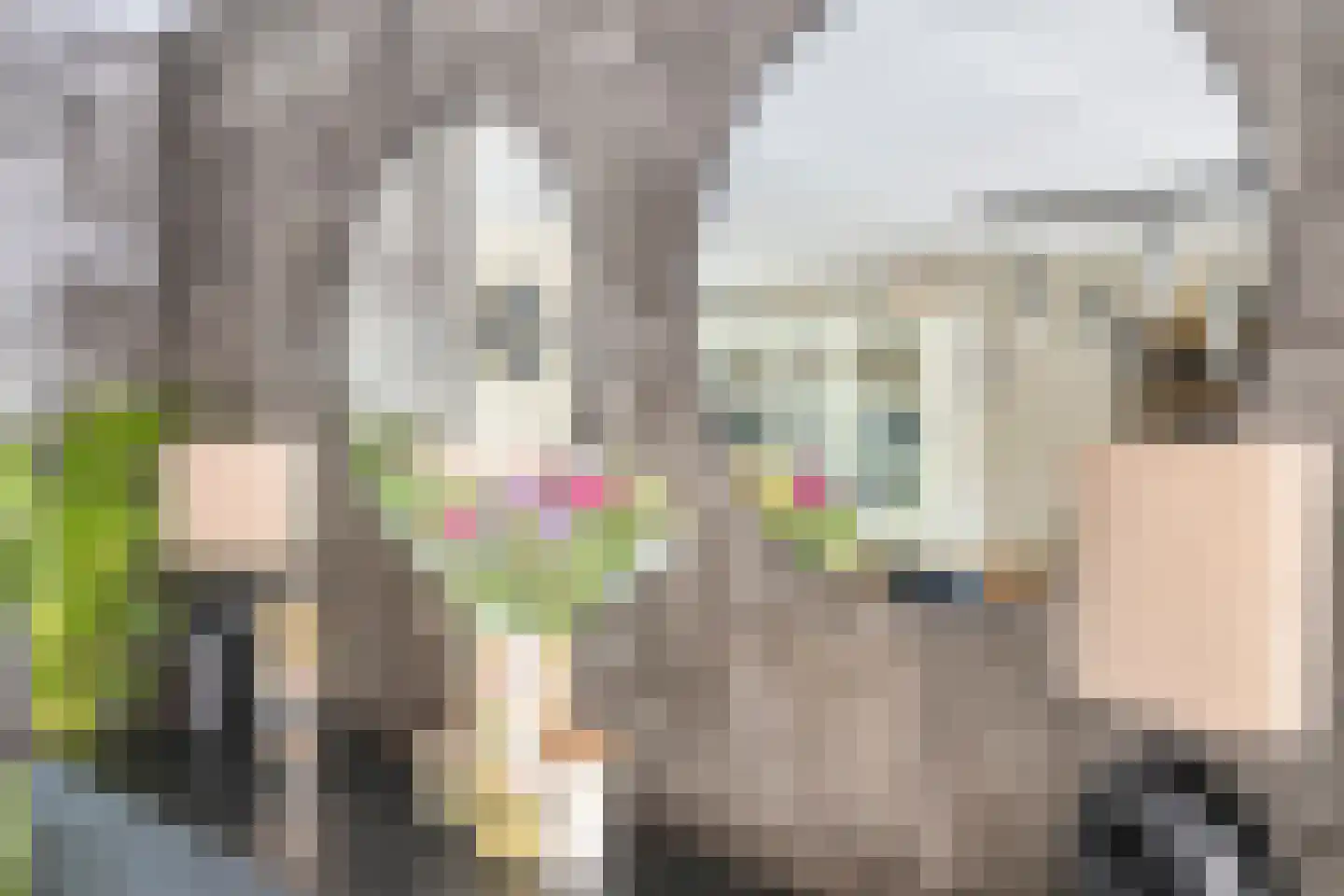 Winston Churchilllaan 17 Eindhoven thumbnail 20