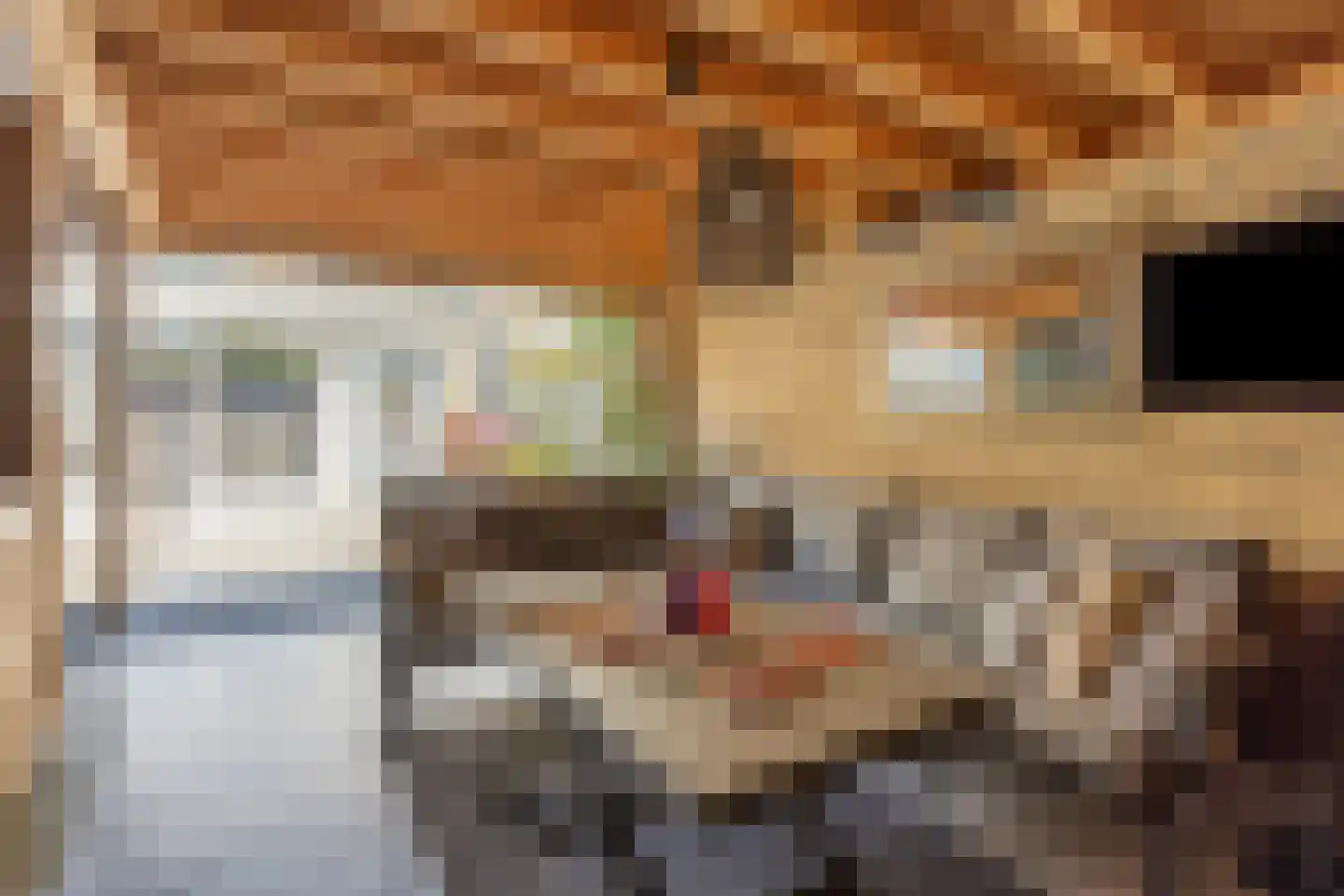 Winston Churchilllaan 17 Eindhoven thumbnail 43