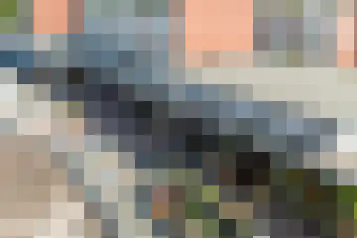 Winston Churchilllaan 18 Spijkenisse thumbnail 20