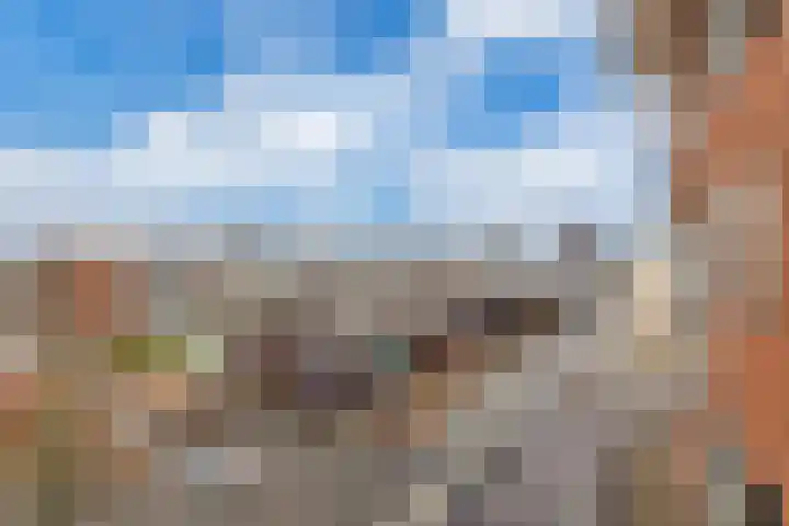 Winston Churchilllaan 20 Spijkenisse thumbnail 27