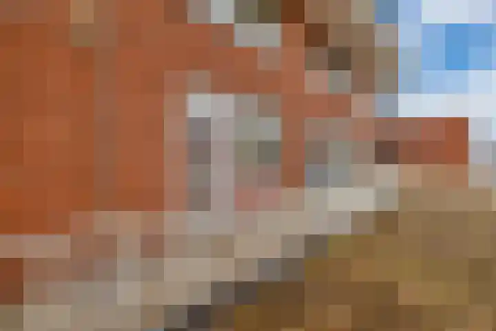 Winston Churchilllaan 20 Spijkenisse thumbnail 6
