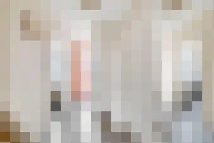 Winston Churchilllaan 20 Spijkenisse thumbnail 8