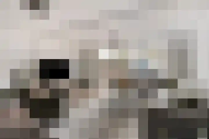 Winston Churchilllaan 37 Eindhoven thumbnail 10