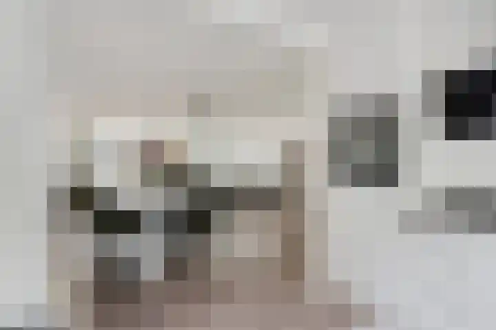 Winston Churchilllaan 37 Eindhoven thumbnail 18
