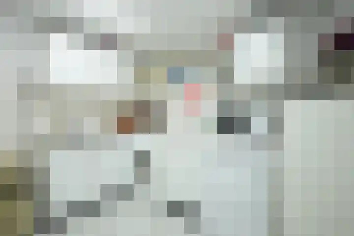 Winston Churchilllaan 8 Sittard thumbnail 17