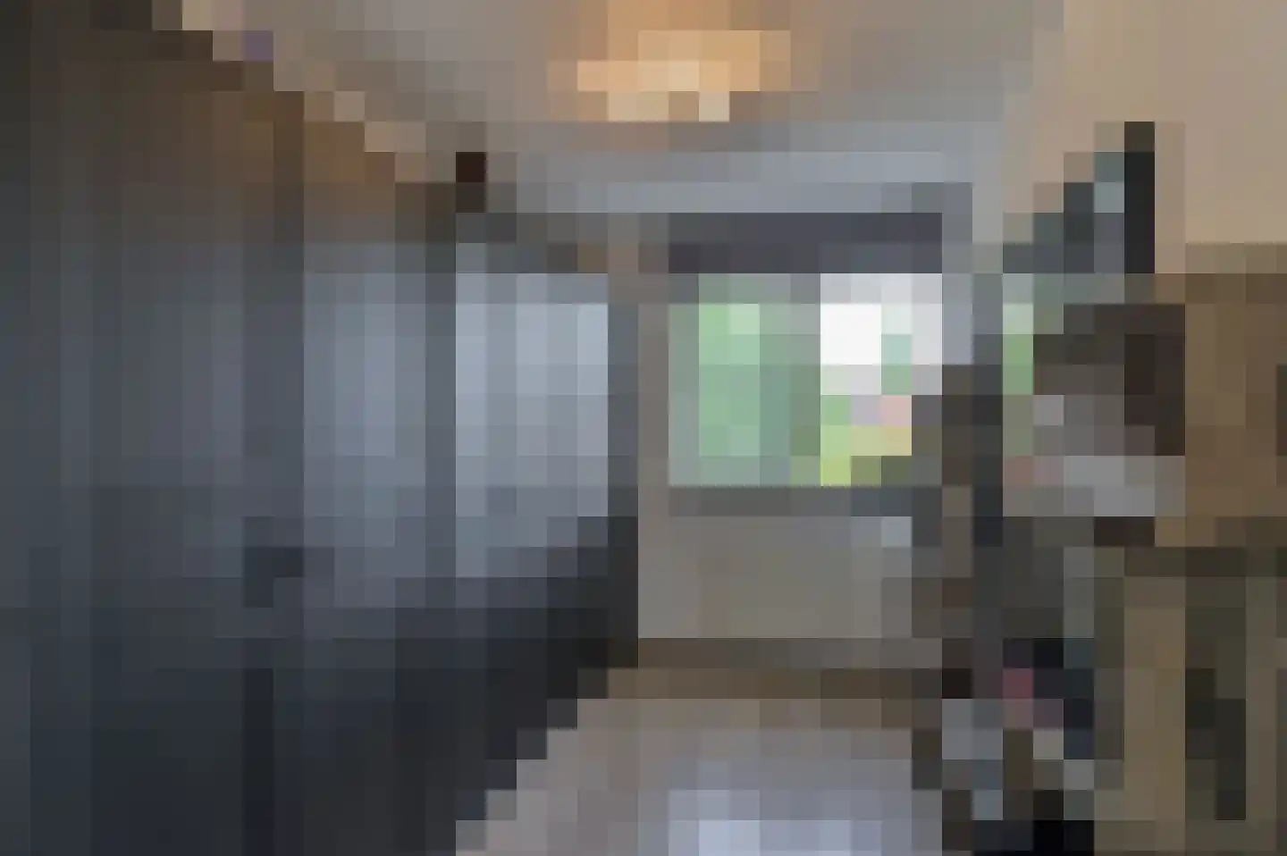 Winston Churchillstraat 8 Herten thumbnail 33