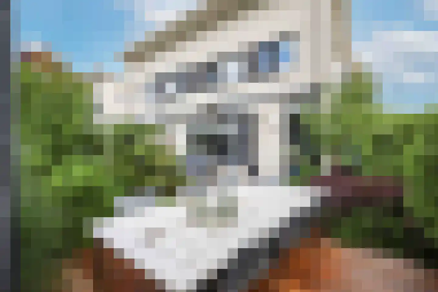 Winstongaarde 10 Amersfoort thumbnail 32