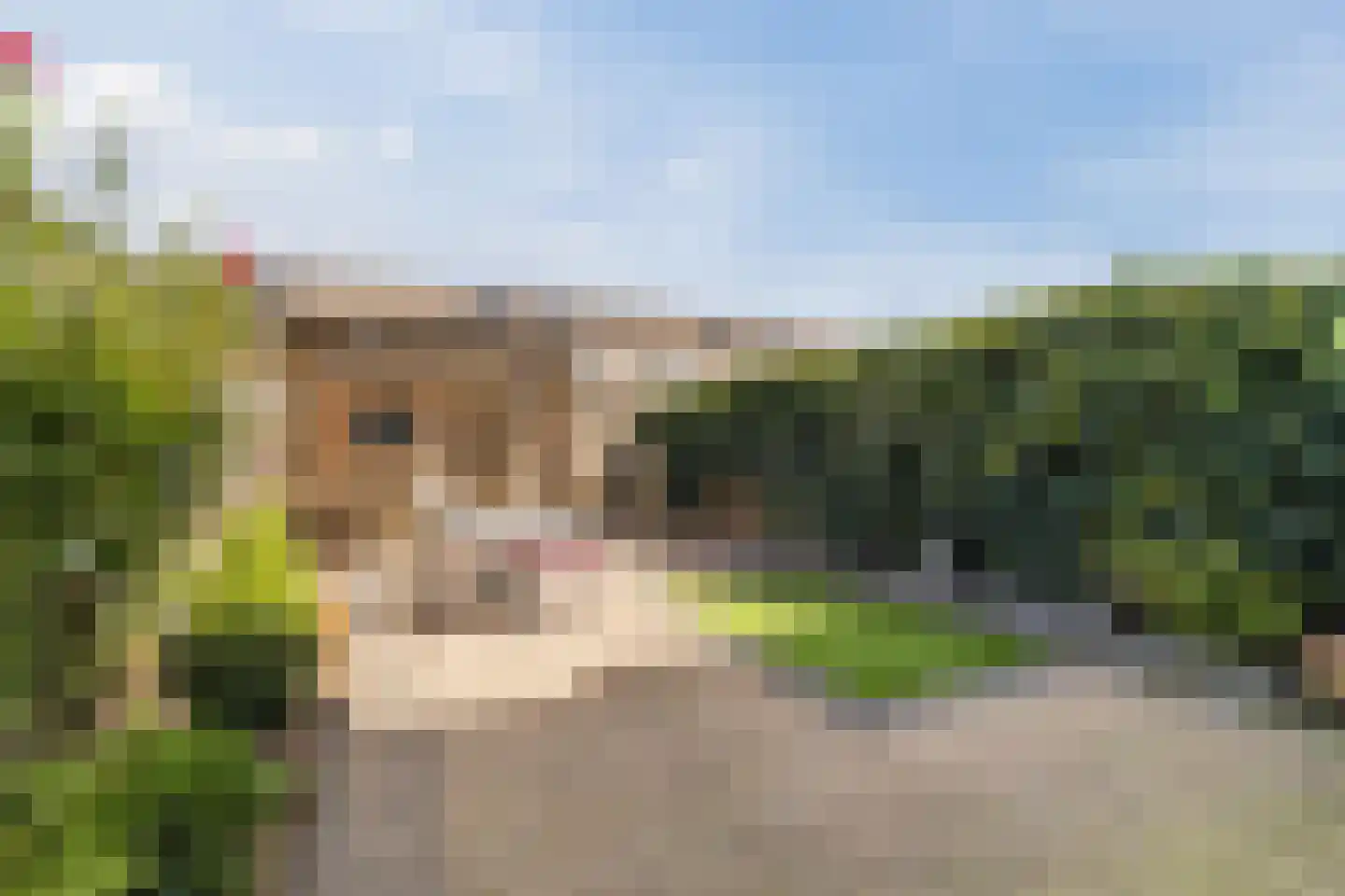 Winstongaarde 7 Amersfoort thumbnail 14