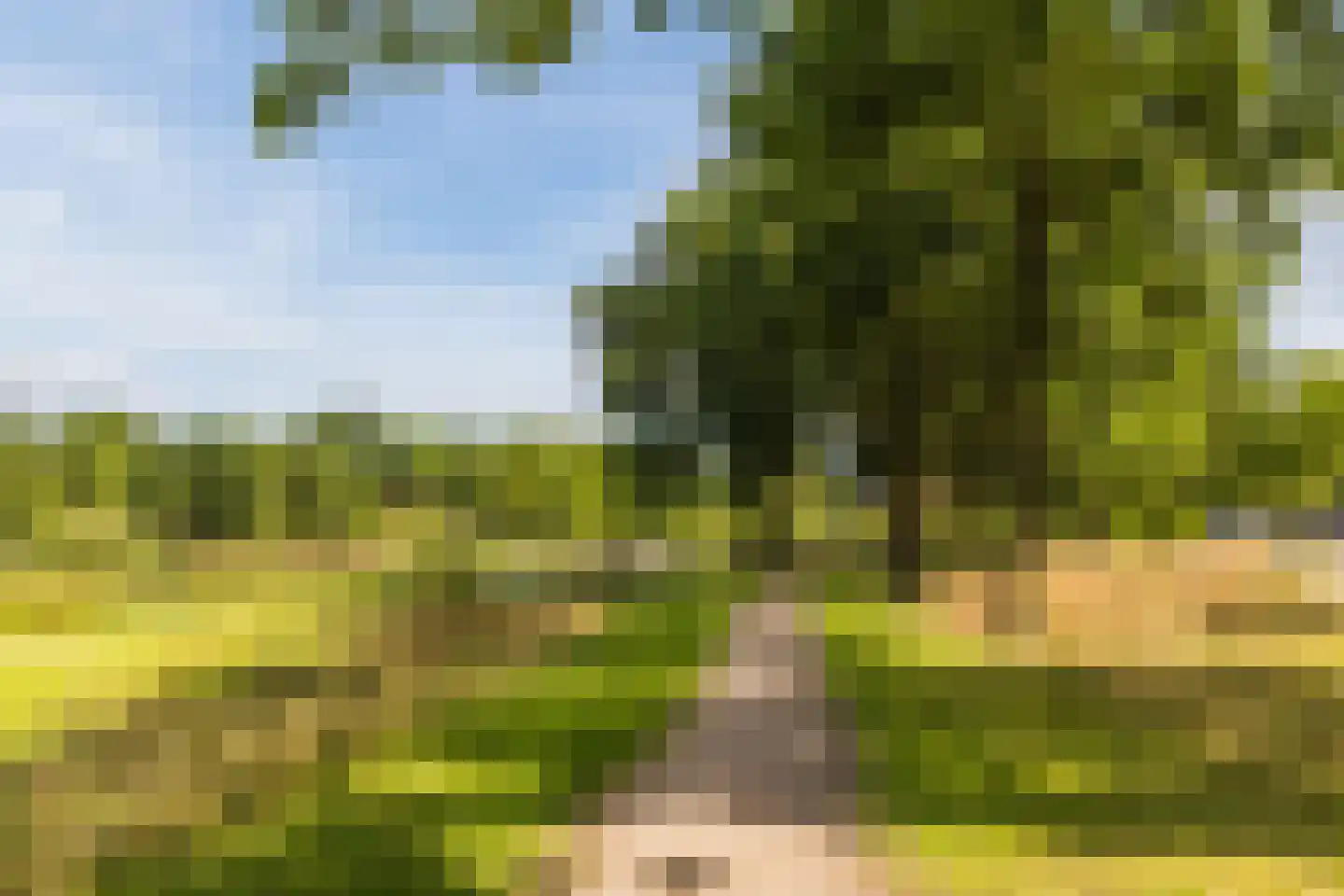 Winstongaarde 7 Amersfoort thumbnail 26