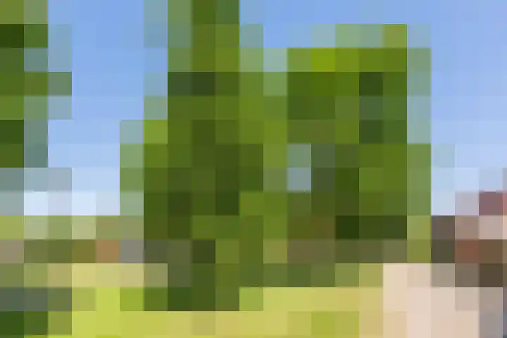 Winstongaarde 8 Amersfoort thumbnail 39