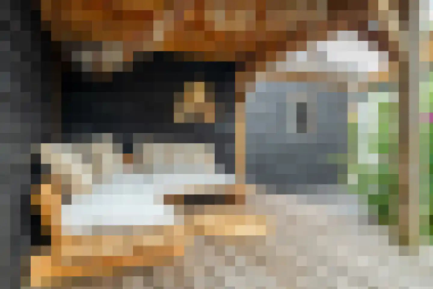 Winsumerweg 1 Onderdendam thumbnail 10