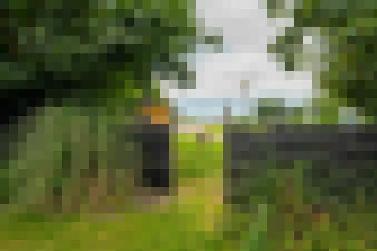 Winsumerweg 1 Onderdendam thumbnail 100