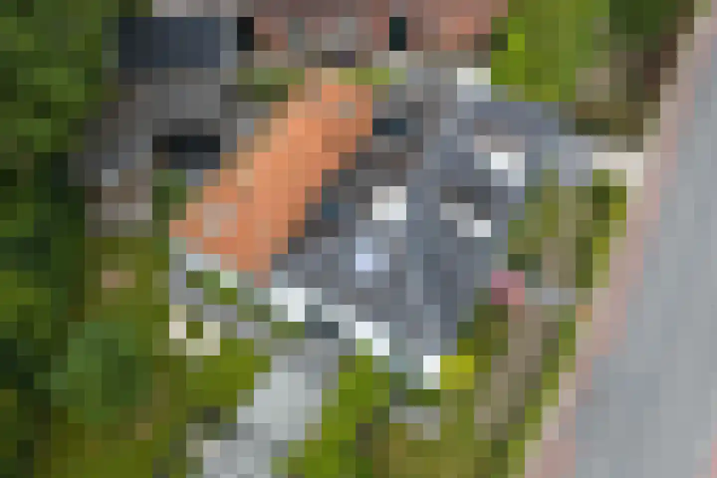 Winsumerweg 1 Onderdendam thumbnail 108