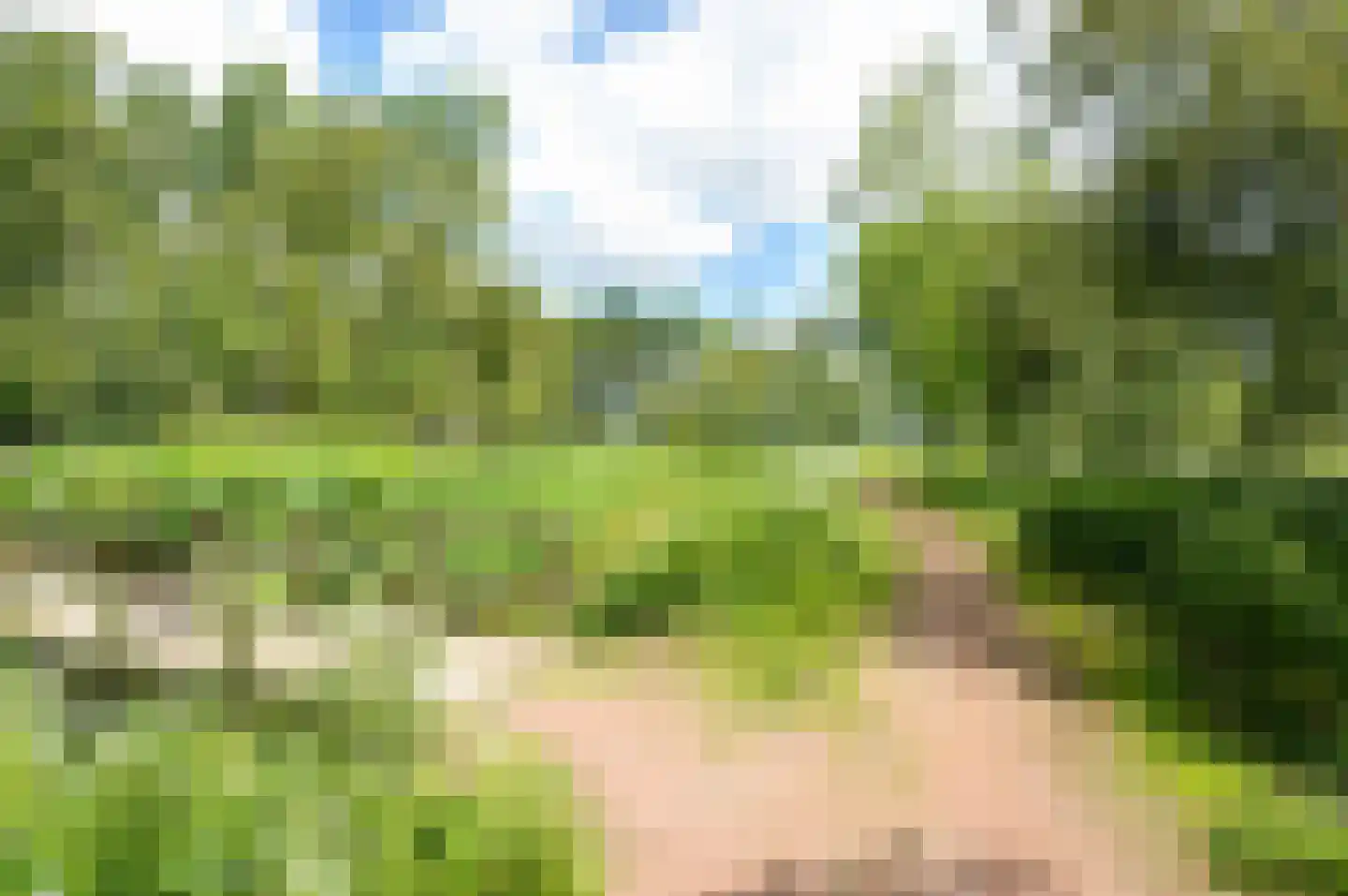 Winsumerweg 1 Onderdendam thumbnail 112