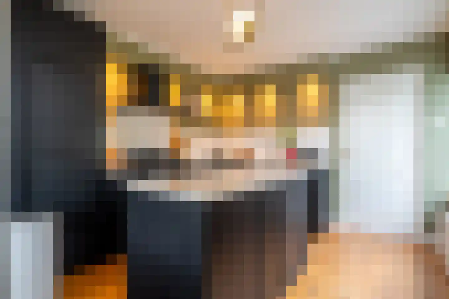 Winsumerweg 1 Onderdendam thumbnail 4