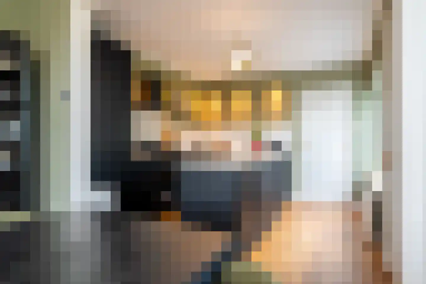 Winsumerweg 1 Onderdendam thumbnail 43