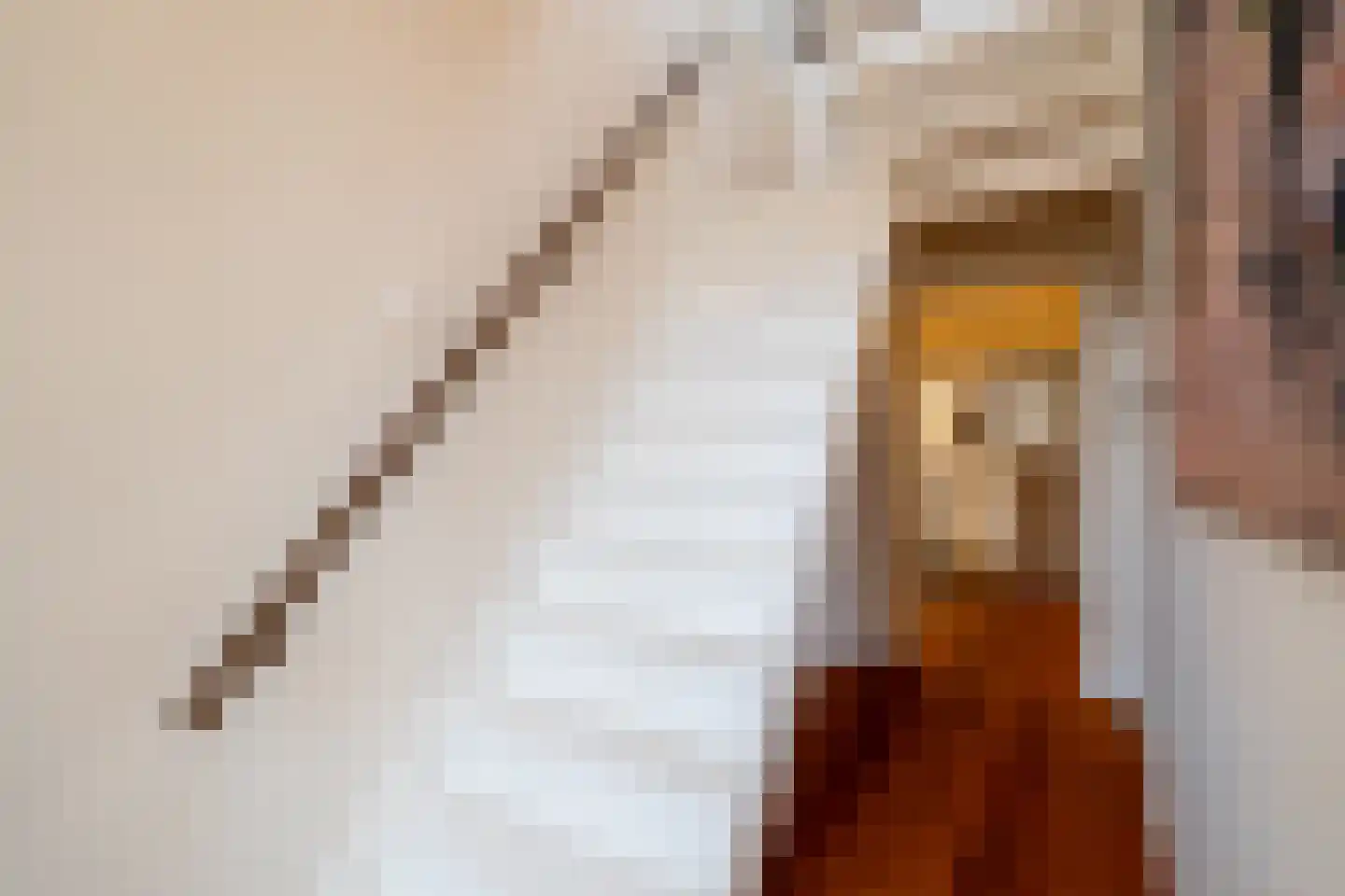 Winsumerweg 1 Onderdendam thumbnail 55