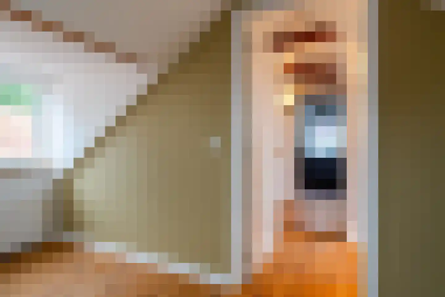 Winsumerweg 1 Onderdendam thumbnail 63