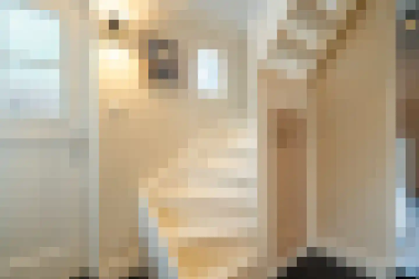 Winsumerweg 1 Onderdendam thumbnail 78