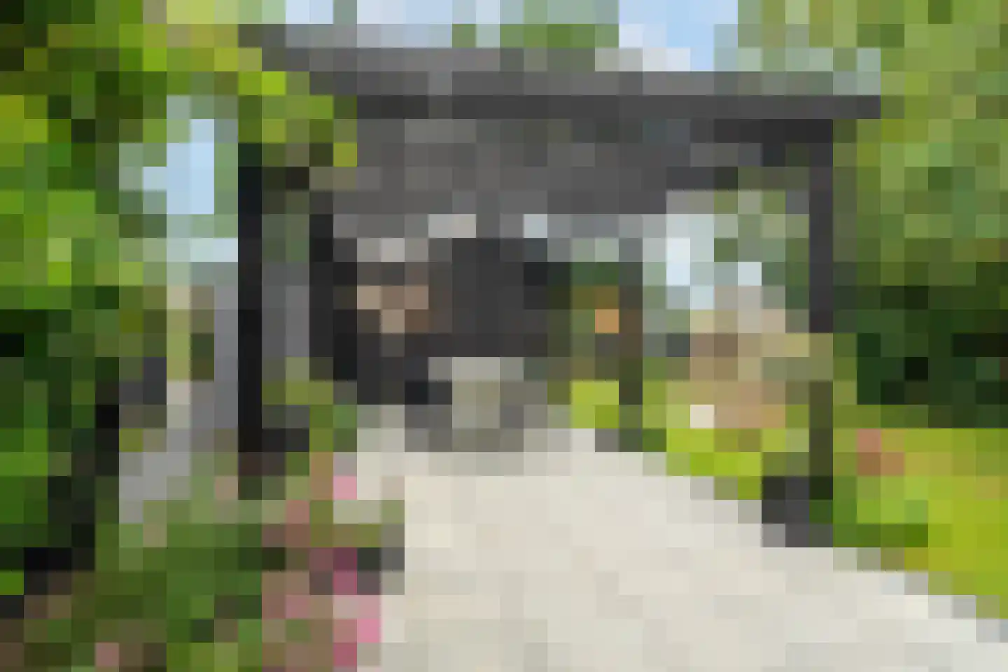 Winsumerweg 1 Onderdendam thumbnail 8