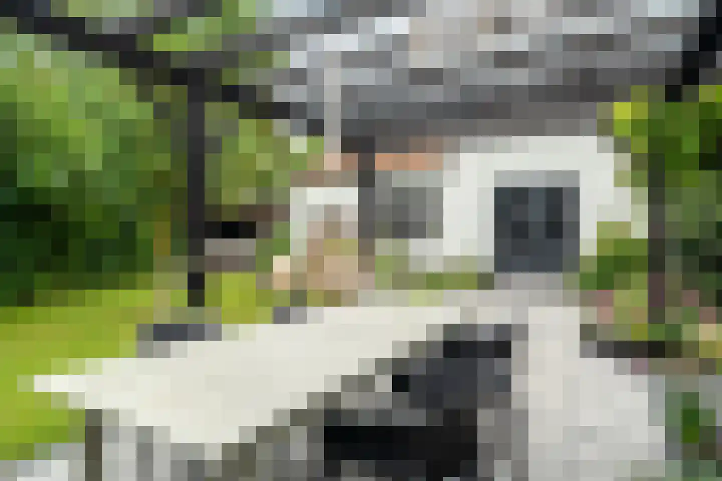 Winsumerweg 1 Onderdendam thumbnail 91