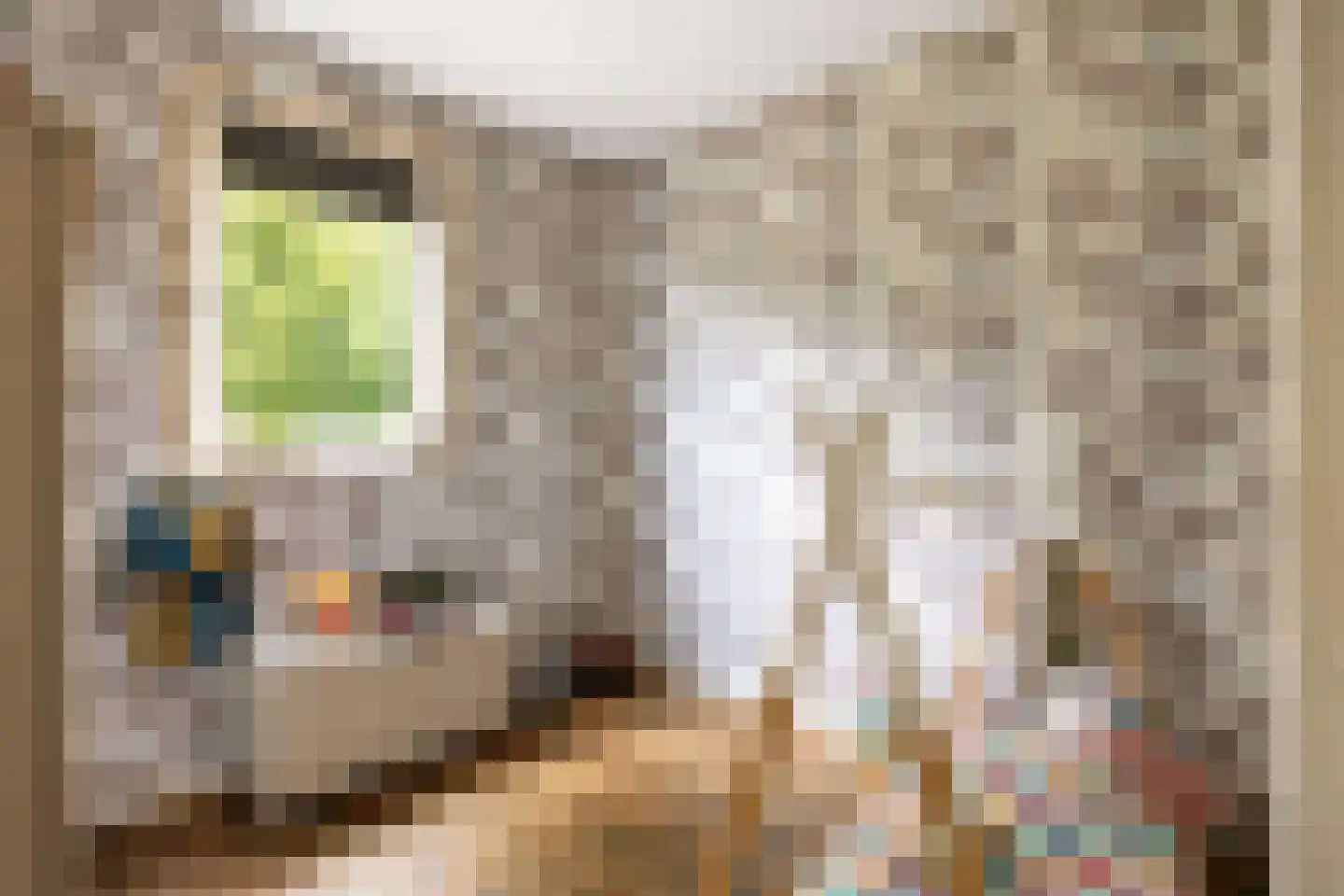 Winsumerweg 14 Onderdendam thumbnail 21