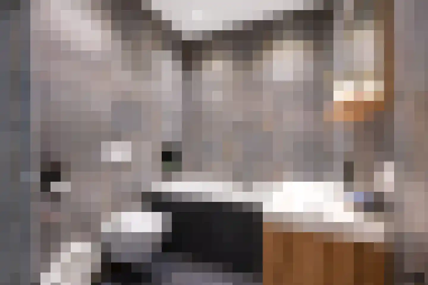 Winsumerweg 14 Onderdendam thumbnail 27