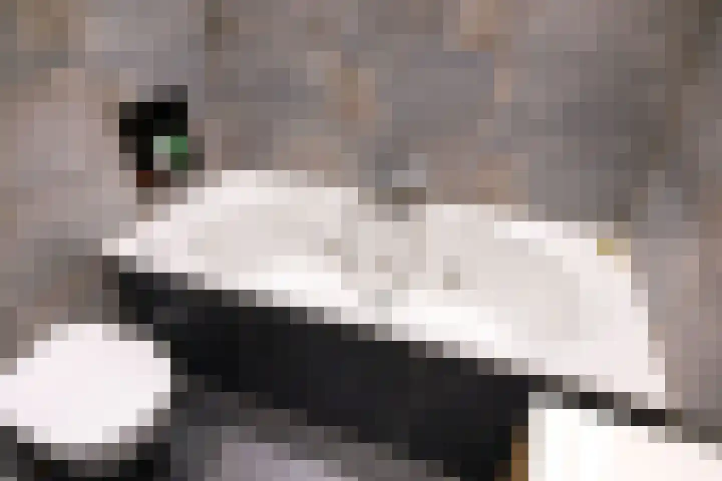 Winsumerweg 14 Onderdendam thumbnail 28